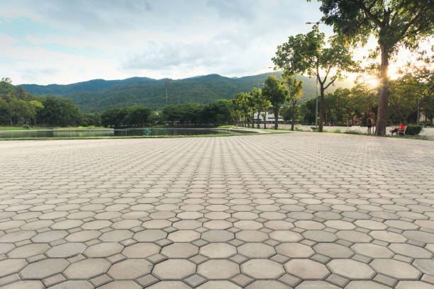 Best Driveway Repair Near Me  in Grants, NM